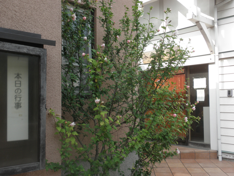 p7010001.jpg