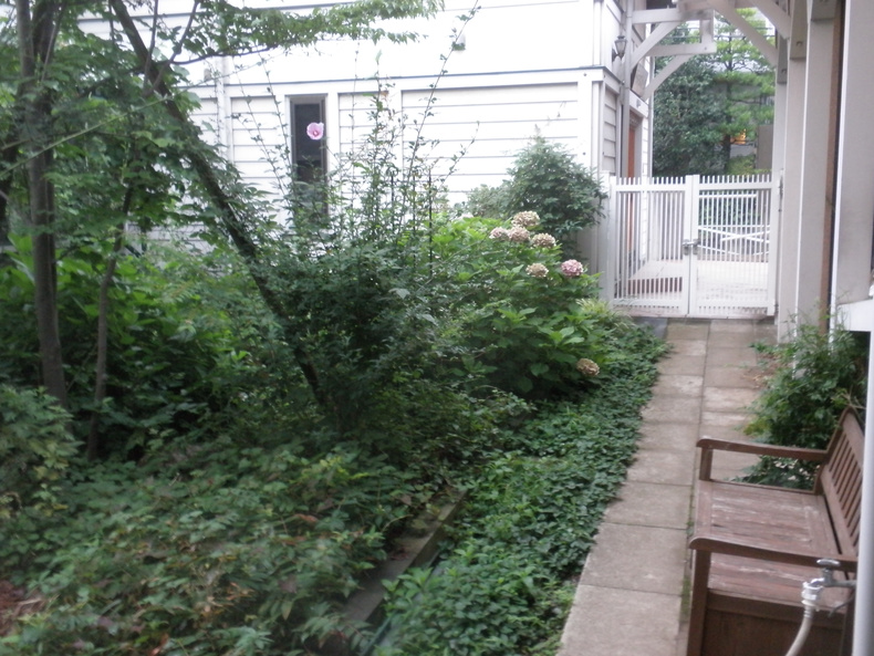 p7130016.jpg