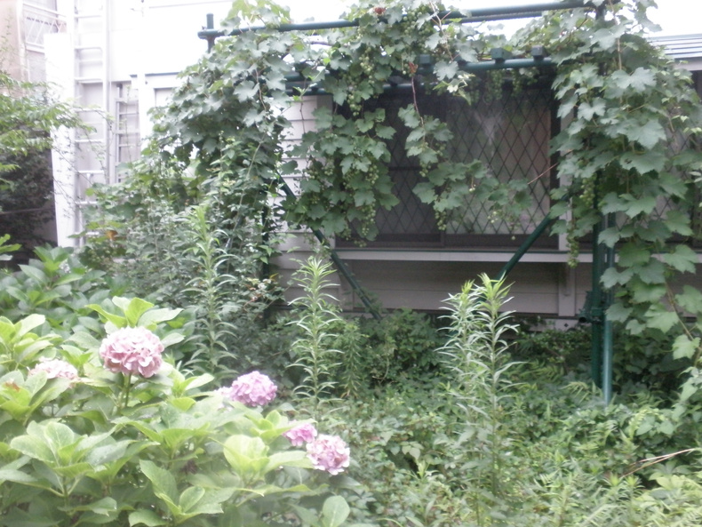 p7130020.jpg